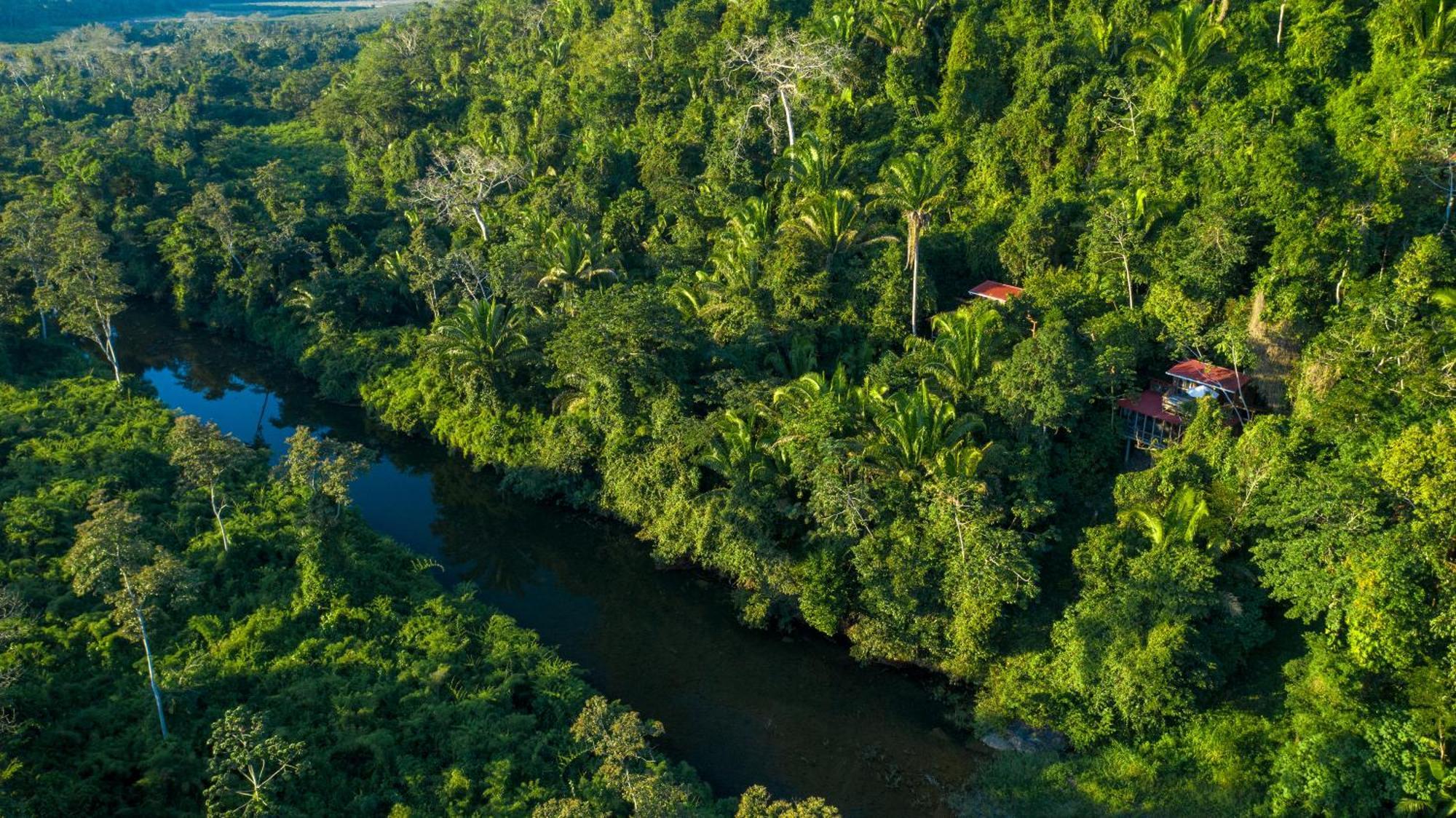 Ian Anderson Caves Branch Jungle Lodge Belmopan Exteriér fotografie