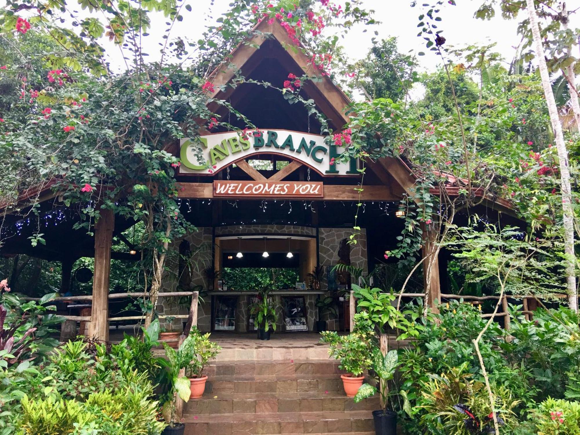Ian Anderson Caves Branch Jungle Lodge Belmopan Exteriér fotografie