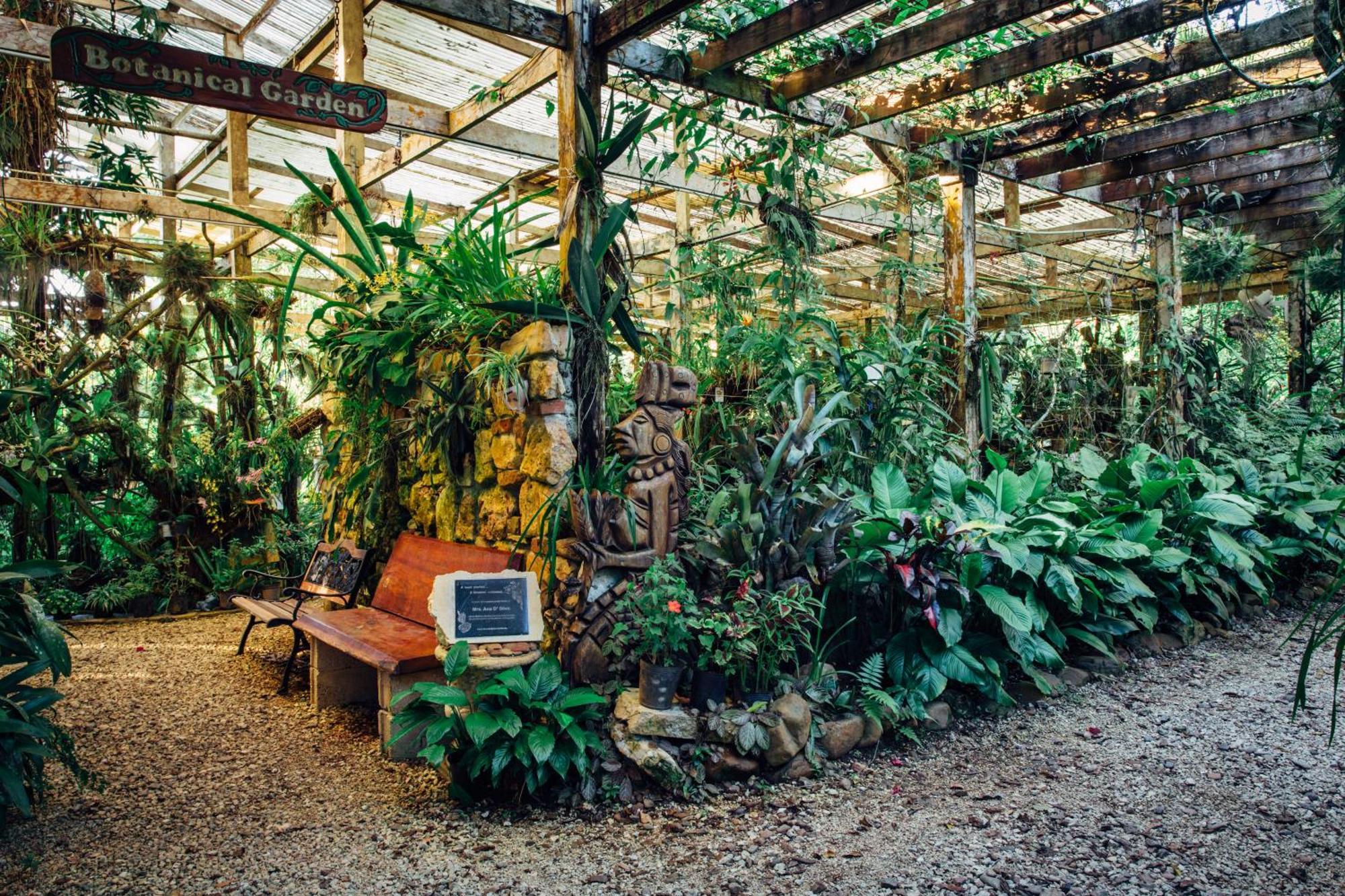 Ian Anderson Caves Branch Jungle Lodge Belmopan Exteriér fotografie